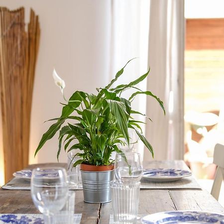 Spacious Apartment With Big Terrace At Colosseum Róma Kültér fotó